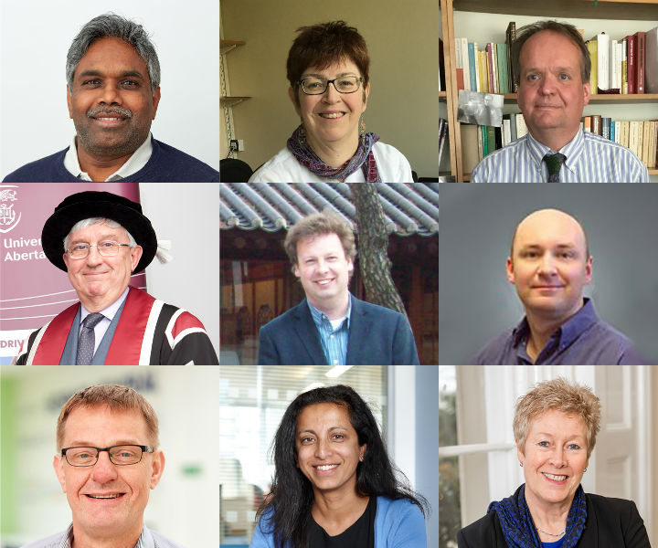 LSW Fellows 2019